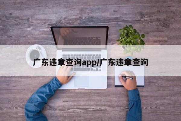 广东违章查询app/广东违章查询