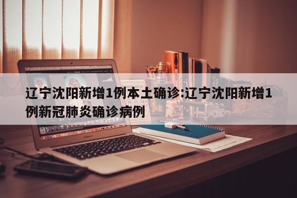 辽宁沈阳新增1例本土确诊:辽宁沈阳新增1例新冠肺炎确诊病例